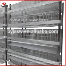 Layer Quail Cage and Automatic Drinker